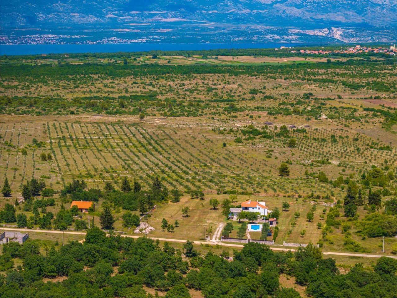 Villa Mandorla With Private Pool Zadar Exterior foto